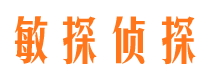 正宁婚外情调查取证